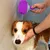 IntiMeg Brosse de bain en silicone pour chien