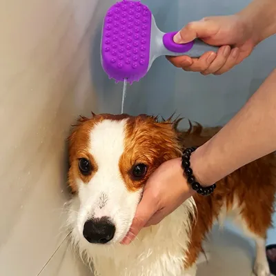 IntiMeg Brosse de bain en silicone pour chien