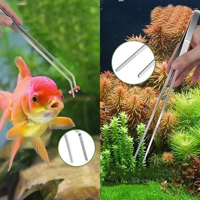 IntiMeg Outil de coupe-herbe à eau (4 pièces)