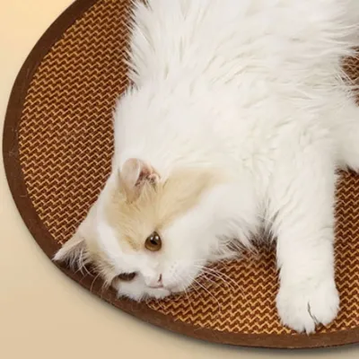IntiMeg Coussin refroidissant pour chien et chat