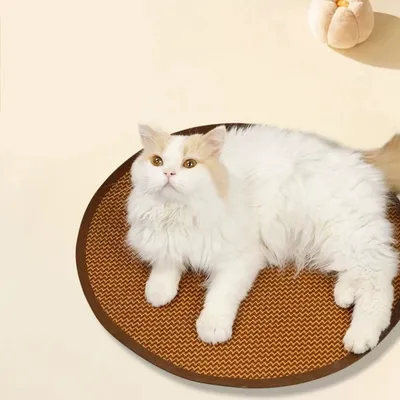 IntiMeg Coussin refroidissant pour chien et chat