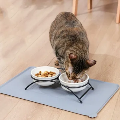 IntiMeg Napperon en silicone pour animaux de compagnie