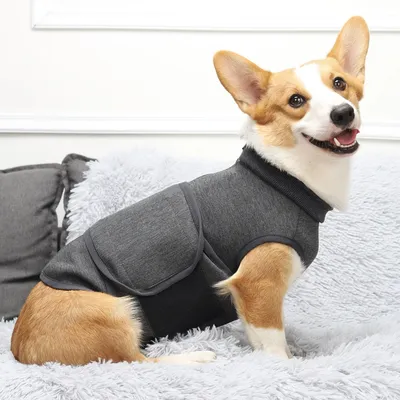 IntiMeg Beruhigungsjacke für Hunde IntiMeg Beruhigungsjacke für Hunde