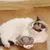 IntiMeg Jouet pour chat balle en peluche électrique