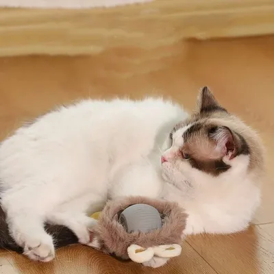 IntiMeg Jouet pour chat balle en peluche électrique