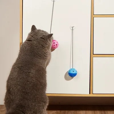 IntiMeg Balle élastique avec cloche pour chat