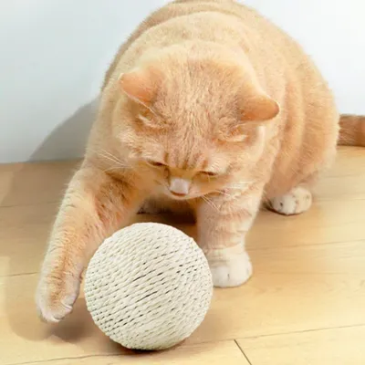 IntiMe Jouet pour chat boule de sisal de 10 cm