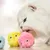 IntiMeg Balle sonore lumineuse pour chat