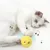 IntiMeg Balle sonore lumineuse pour chat