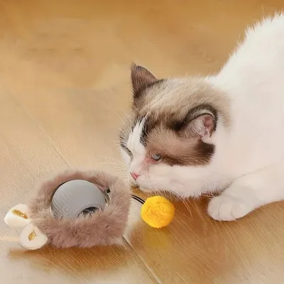 IntiMeg Jouet pour chat balle en peluche électrique