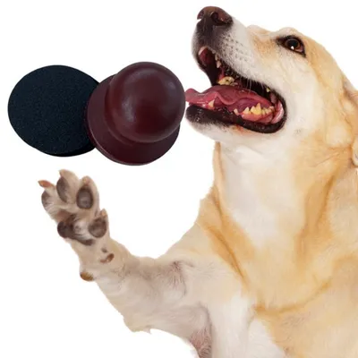 IntiMeg Polissoir à ongles en bois pour chien