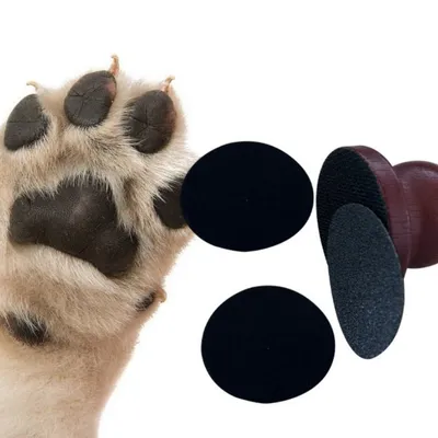 IntiMeg Polissoir à ongles en bois pour chien