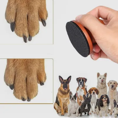 IntiMeg Polissoir à ongles en bois pour chien