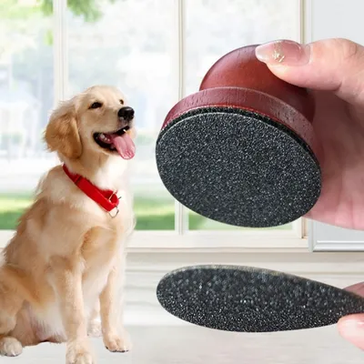 IntiMeg Polissoir à ongles en bois pour chien