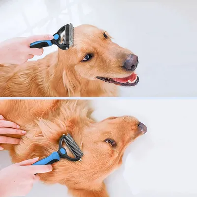 IntiMeg Kit de coiffure pour animaux