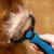 IntiMeg Kit de coiffure pour animaux