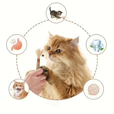 IntiMeg Katzen-Kaustab mit Feder und Glöckchen