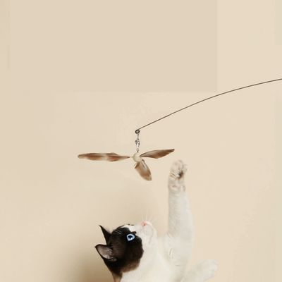 IntiMeg Jouet pour chat Teaser pour chat