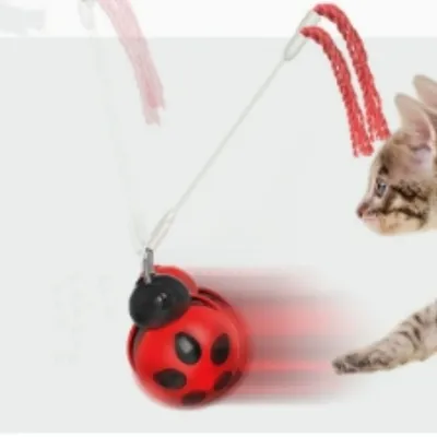 IntiMeg Jouet pour chat scarabée culbuto