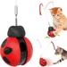 IntiMeg Katzenspielzeug Tumbler Beetle