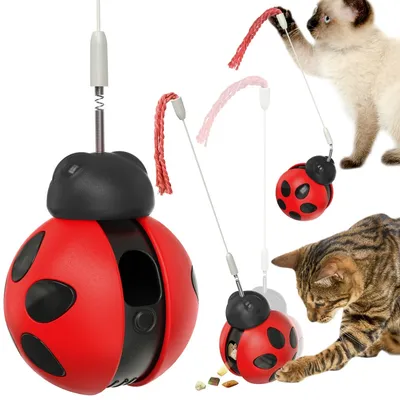 IntiMeg Jouet pour chat scarabée culbuto