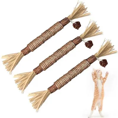 IntiMeg Lot de 3 bâtonnets de dentition pour chat