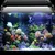 IntiMeg Lampe LED pour aquarium et corail