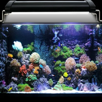IntiMeg Lampe LED pour aquarium et corail
