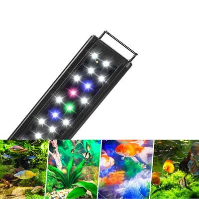 IntiMeg Lampe LED pour aquarium et corail