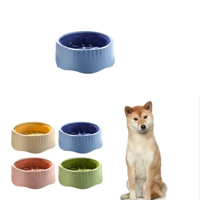 IntiMeg Gamelle anti-fuite pour chien