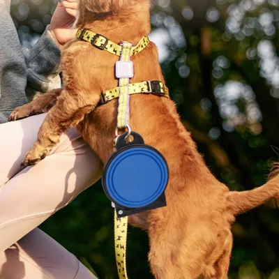 IntiMeg Bol pliable pour chien