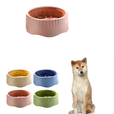 IntiMeg Gamelle anti-fuite pour chien