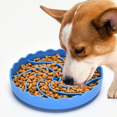 IntiMeg Bol anti-glouton en silicone pour chien