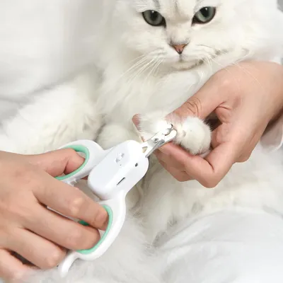 IntiMeg cortauñas para mascotas con luz LED