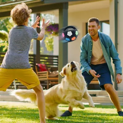 IntiMeg Jouet pour chien en forme de ballon de football à main