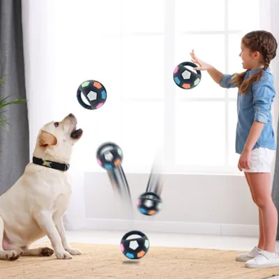 IntiMeg Jouet pour chien en forme de ballon de football à main