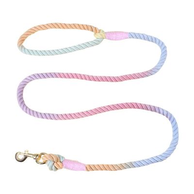 IntiMeg Laisse colorée pour chien