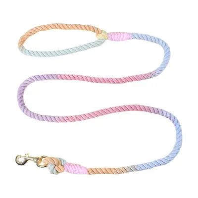 IntiMeg Laisse colorée pour chien