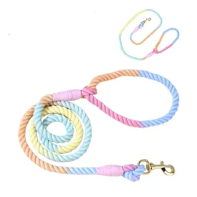 IntiMeg Laisse colorée pour chien