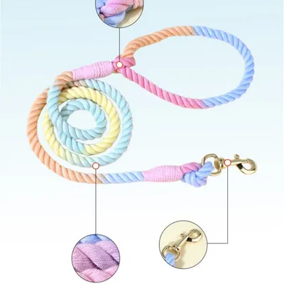 IntiMeg Laisse colorée pour chien