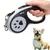 IntiMeg Laisse rétractable pour chien