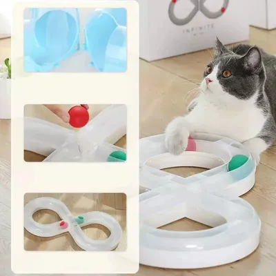 IntiMeg Jeu de chat : piste avec balle