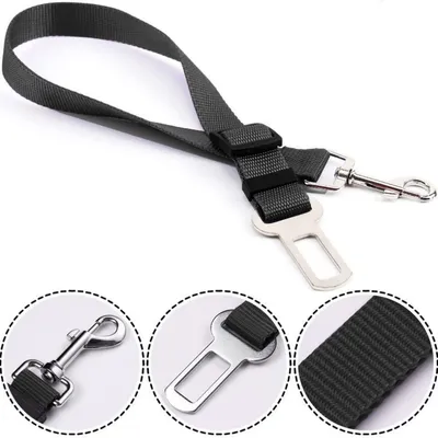 IntiMeg Ceintures de sécurité pour animaux 2 pcs