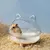 IntiMeg Baignoire pour hamster