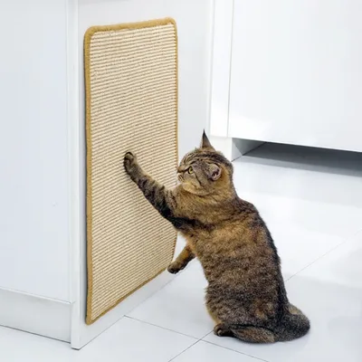 IntiMeg Tapis à gratter en sisal pour chat