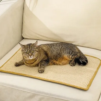 IntiMeg Alfombrilla rascador de sisal para gatos