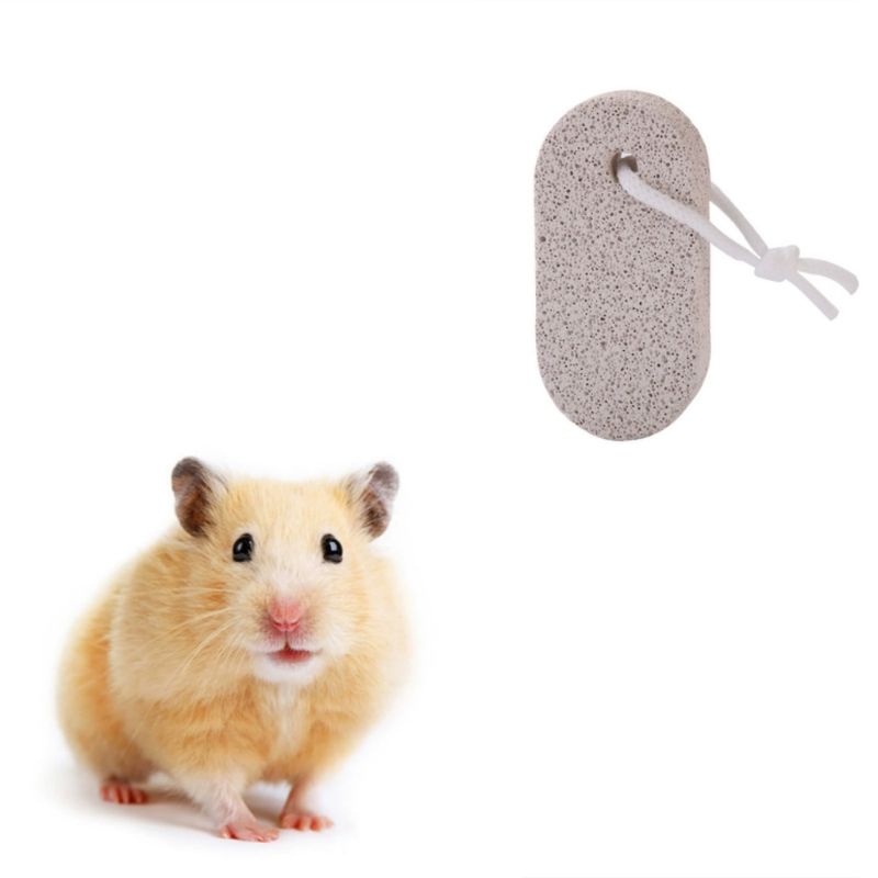 IntiMeg Pierre dentaire pour petits animaux