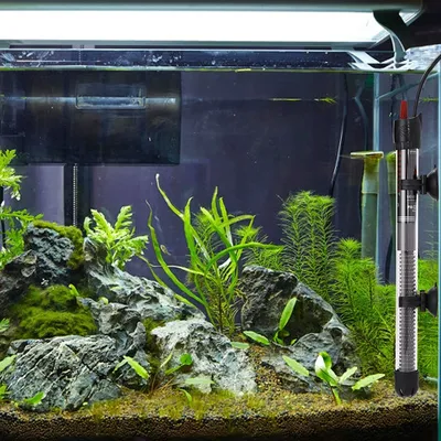 IntiMeg Chauffage à thermostat pour aquarium