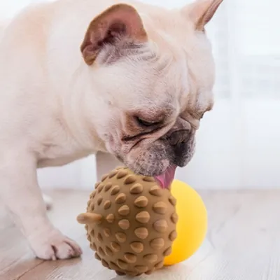 IntiMeg Jouet Slow Food pour chien Gland