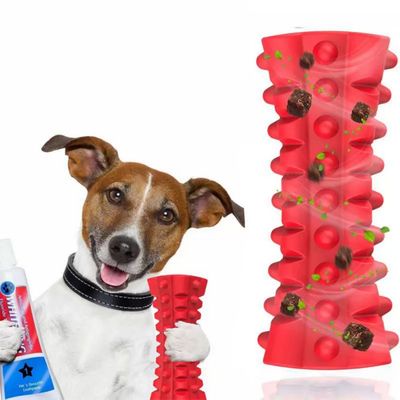 IntiMeg Jouet sonore pour chiens robuste